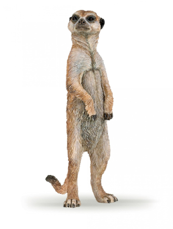 Promotii - PAPO FIGURINA SURICATA