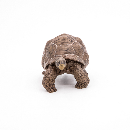 PAPO FIGURINA TESTOASA GALAPAGOS [5]