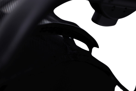 PLASA INSECTE CARUCIOR HAMILTON [5]