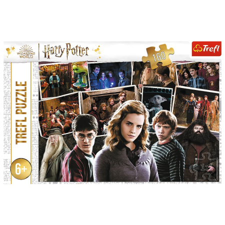 PUZZLE TREFL 160 HARRY POTTER [2]