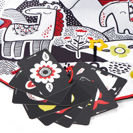 SALTEA DE JOACA EDUCATIONALA KINDERKRAFT 4SMART [1]