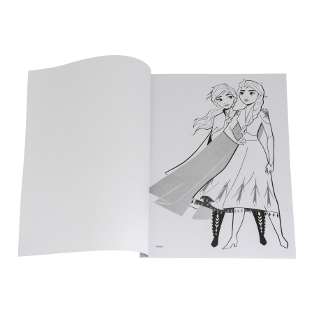 SET DESEN GENTUTA DE CREATIE FROZEN [3]