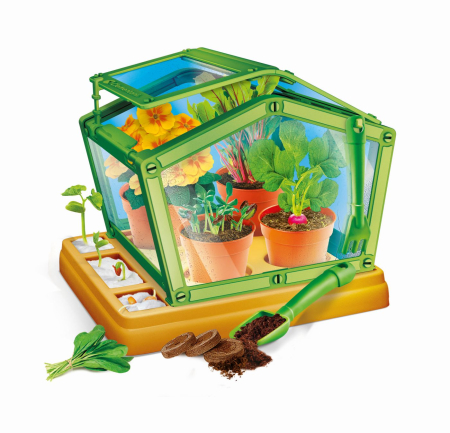 STIINTA SI JOACA PRIMA MEA SERA [3]