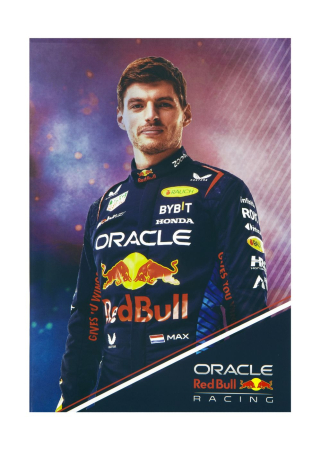 UNDERCOVER ORACLE RED BULL RACING SET 3 CAIETE [2]