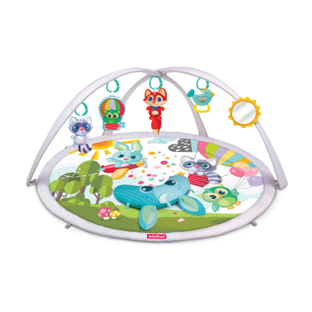 WINFUN SALTELUTA CU ACTIVITATI [1]