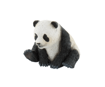 Pui de urs panda [1]