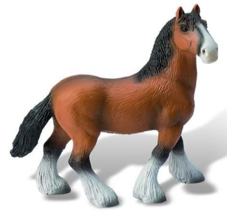 Accesorii - Armasar Shire