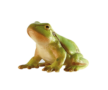 2-4 Ani - Broasca de copac