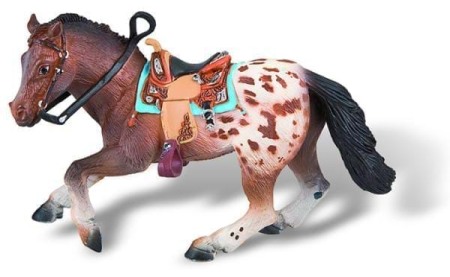 2-4 Ani - Cal Appaloosa