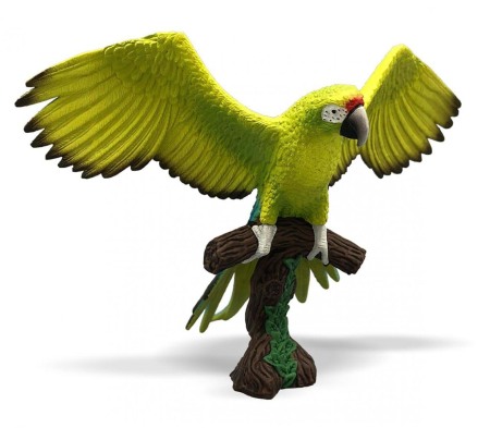 2-4 Ani - Papagal Macaw