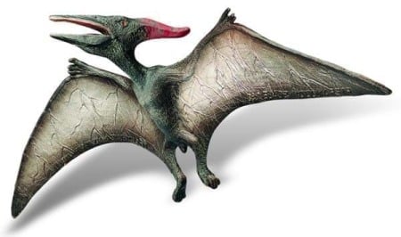 2-4 Ani - Pteranodon