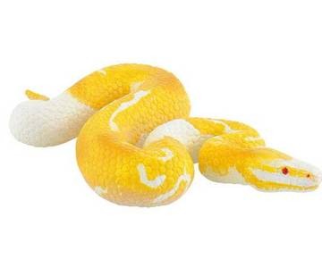 2-4 Ani - Sarpe Piton