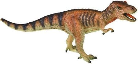 2-4 Ani - Tyrannosaurus