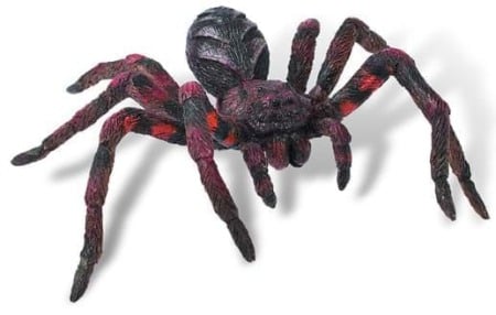 Animale salbatice - Wolf Spider