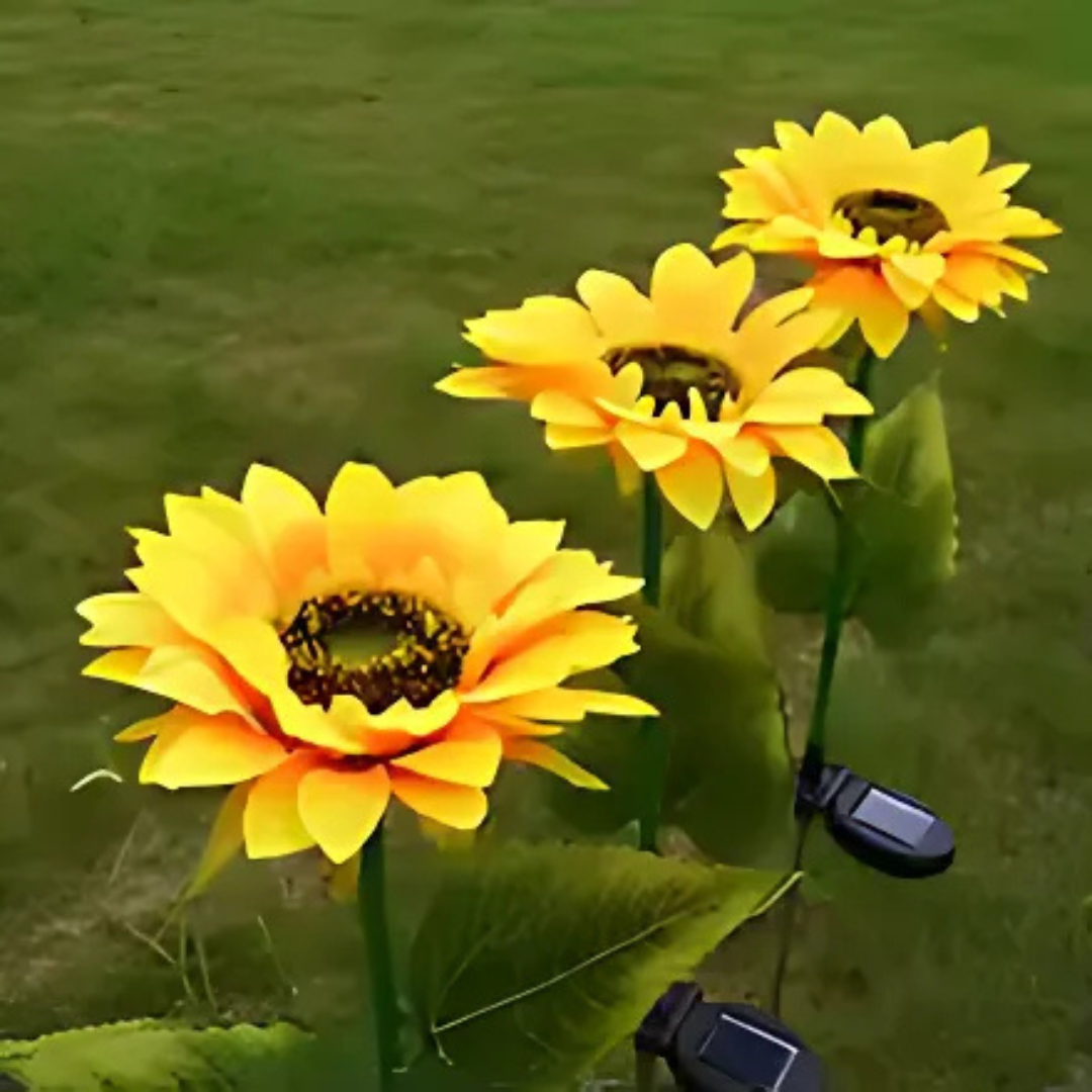 Set 2 x Lămpi Solare LED tip Floarea Soarelui pentru Grădină, 10 Micro-LED-uri, Înălțime 70 cm, IP65, Iluminare Automată cu Senzor [5]