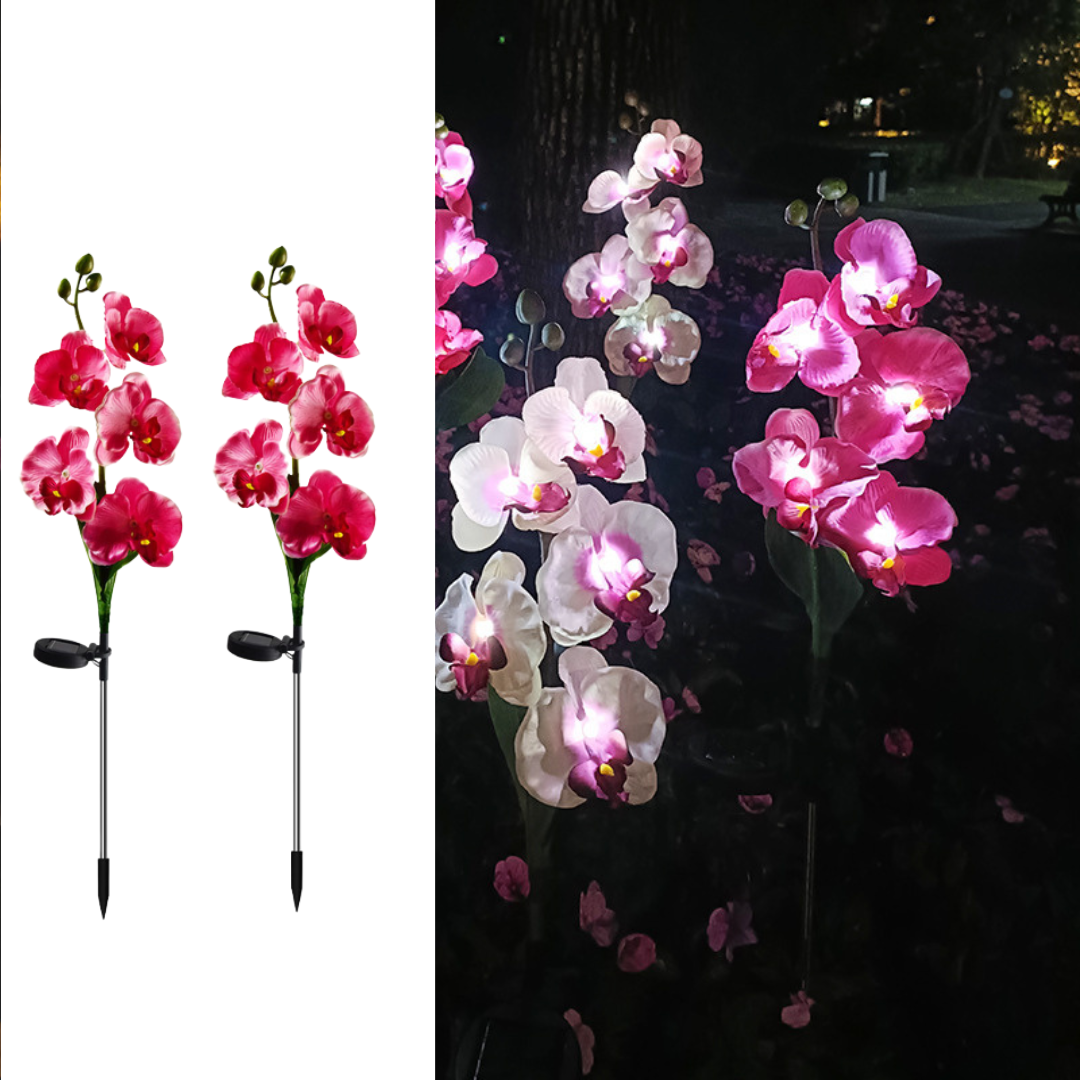 LAMPI SOLARE - Set 2 x Lampi Solare Orhidee cu LED - Decor Romantic pentru Gradina, Tarus si Panou Solar