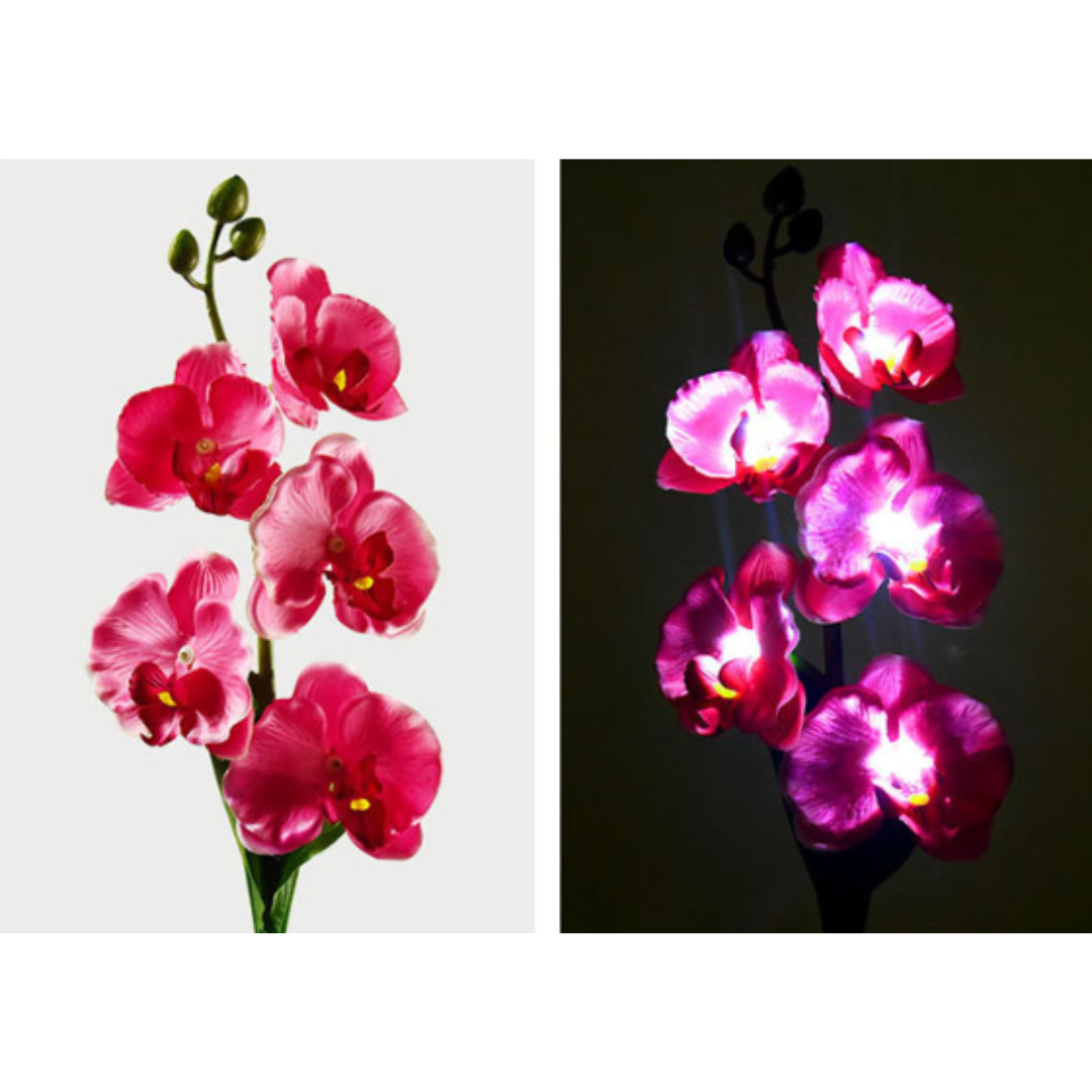 Set 2 x Lampi Solare Orhidee cu LED - Decor Romantic pentru Gradina, Tarus si Panou Solar [5]