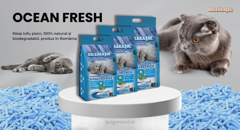 Nisip Tofu Pisici Ocean Fresh – Așternut Igienic și Absorbant [1]