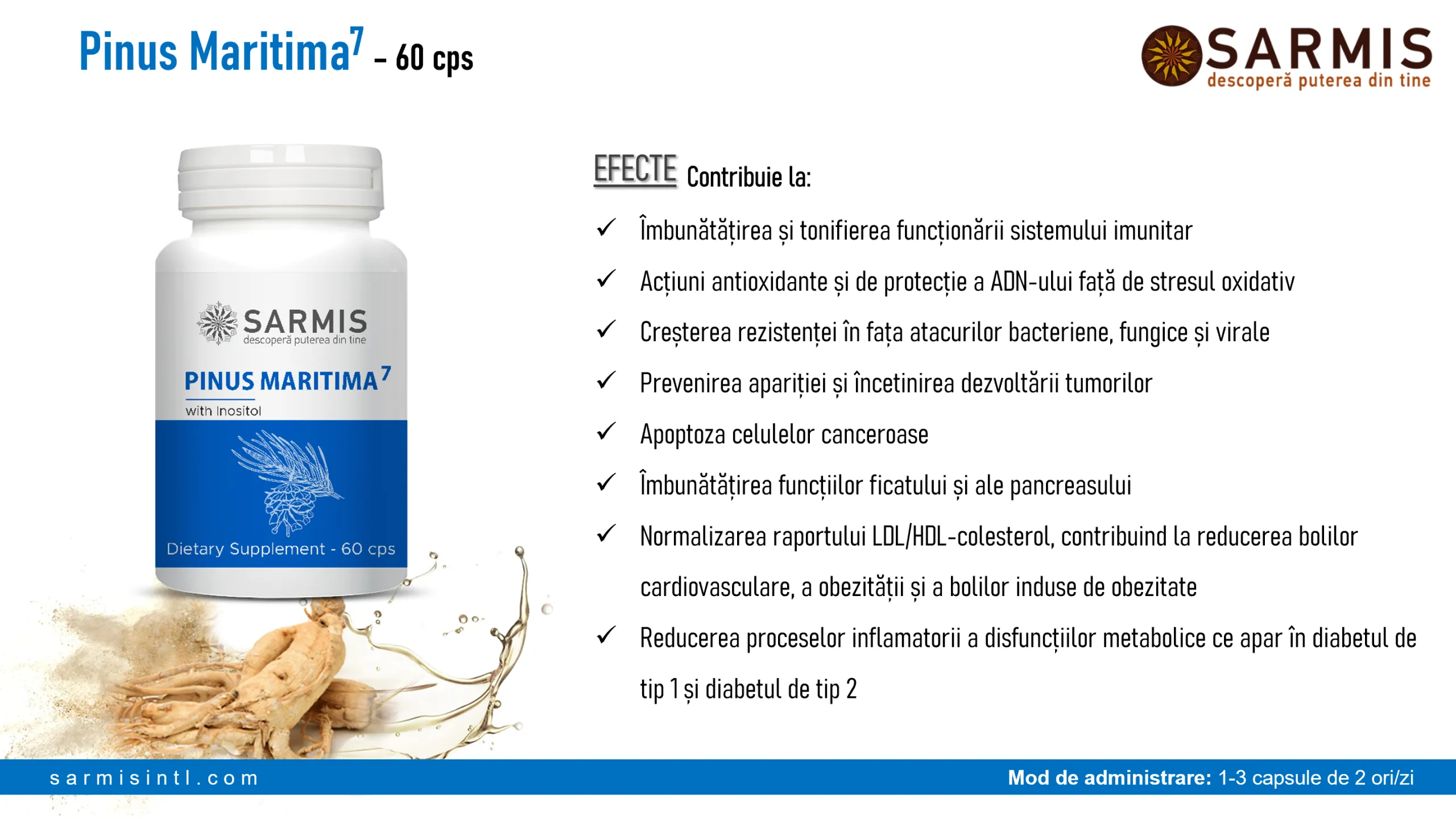 Pinus Maritima 7 [3]