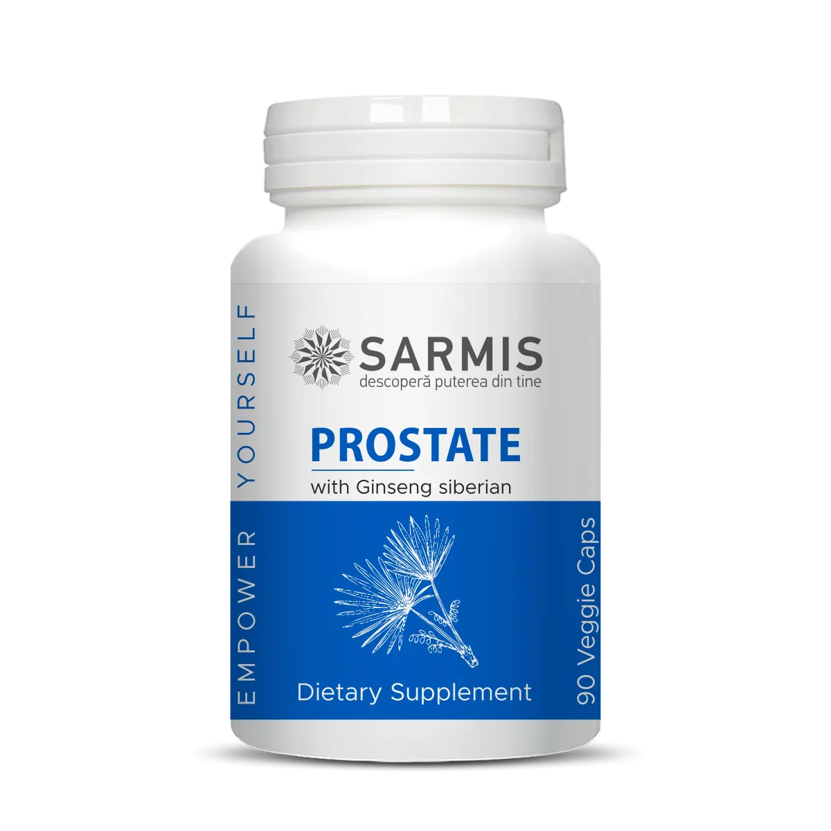 Prostate [1]