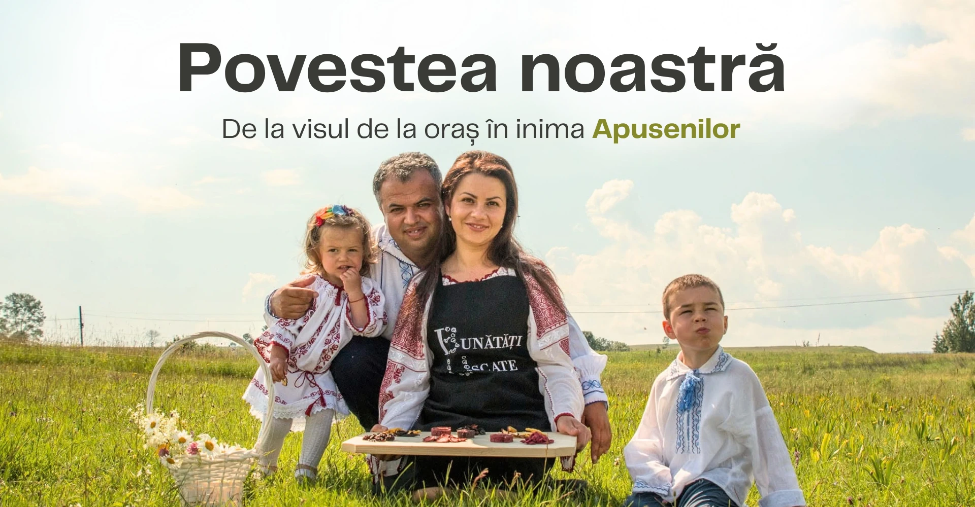 About us