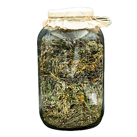 CEAI MULTIPLANT BORCAN [1]
