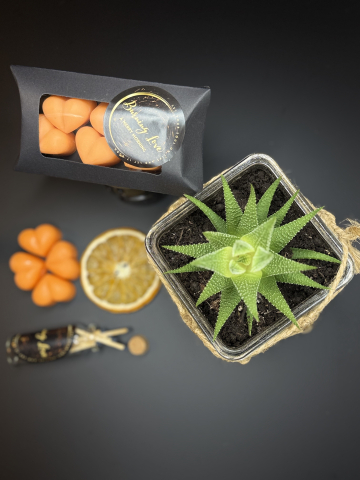 Wax melts - Inimioare parfumate A Merry Morning