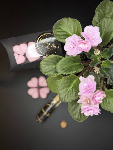 Wax melts - Inimioare parfumate Black Opium