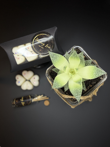 Wax melts - Inimioare parfumate Fire Side