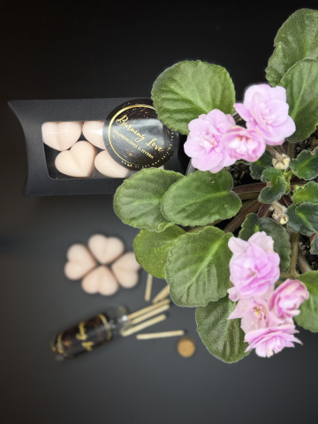 Wax melts - Inimioare parfumate Frankensense&Myrrh