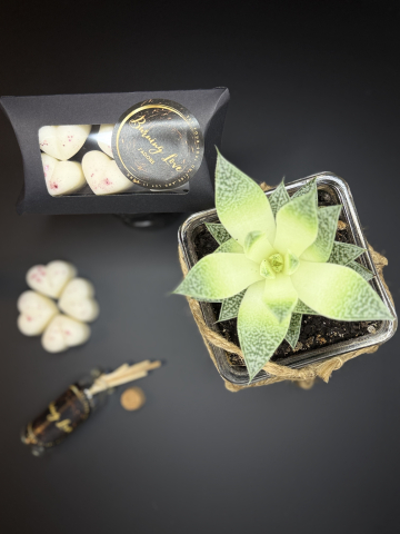 Wax melts - Inimioare parfumate J'Adore