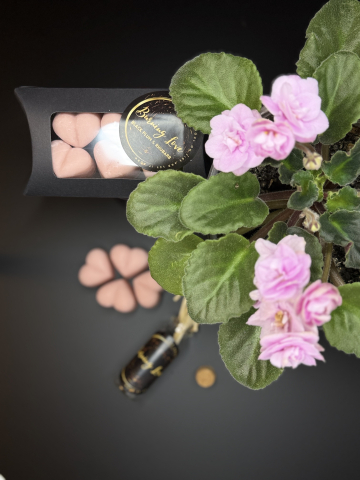 Wax melts - Inimioare parfumate Plum&Rhubarb