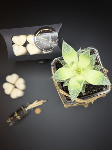 Inimioare parfumate Rich Leather&Tobacco [1]