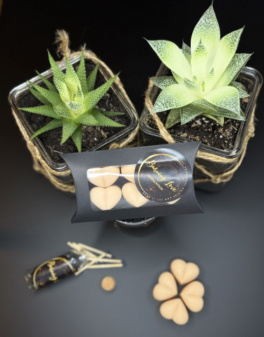 Wax melts - Inimioare parfumate Sandalwood