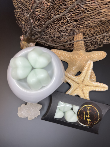 Wax melts - Inimioare parfumate Spa Holiday