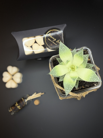 Wax melts - Inimioare parfumate Vanilla Tobacco