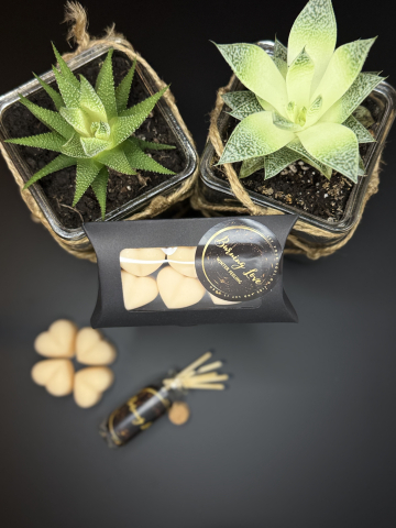 Wax melts - Inimioare parfumate Winter Feeling