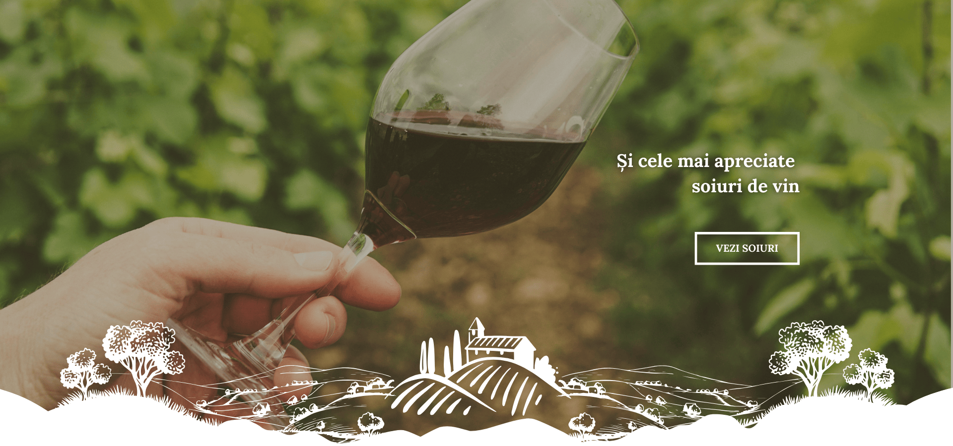 Butasi vita de vie - soiuri de vin