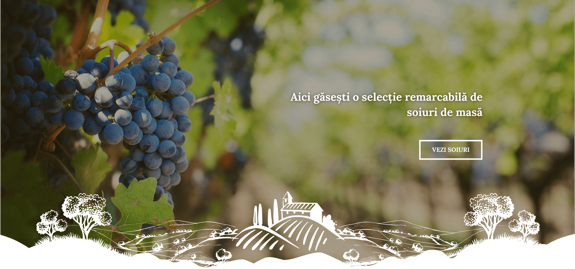 Butasi vita de vie - soiuri de masa