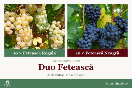 Pachete - Duo Fetească – pachet butași viță de vie Fetească Regală și Fetească Neagră