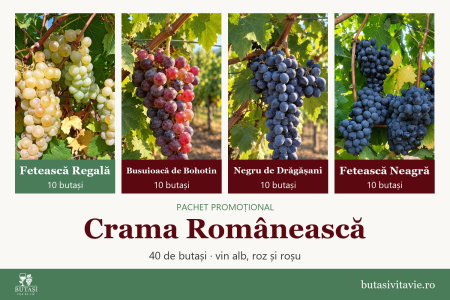 Pachete - Crama Românească – pachet 40 butași viță de vie: Fetească Regală, Busuioacă de Bohotin, Negru de Drăgășani, Fetească Neagră