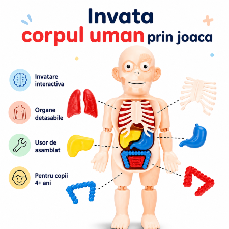 Educative & STEM - Jucarie educativa corp uman, model anatomic cu organe detasabile, 17 piese STEM