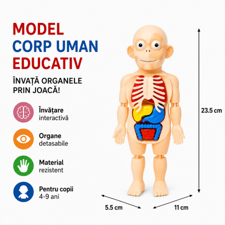 Jucarie educativa corp uman, model anatomic cu organe detasabile, 17 piese STEM [6]