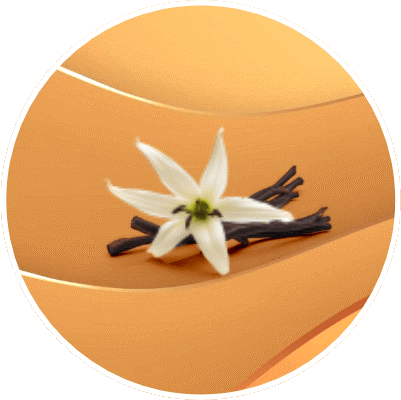 DIFUZOR AROMATERAPIE - AROMA VANILIE [3]
