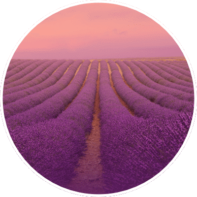 DIFUZOR AROMATERAPIE - AROMA LAVANDĂ [2]