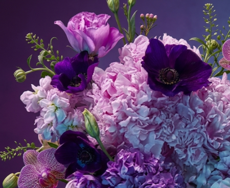PACHET 10 ODORIZANTE VIP ORCHID [1]