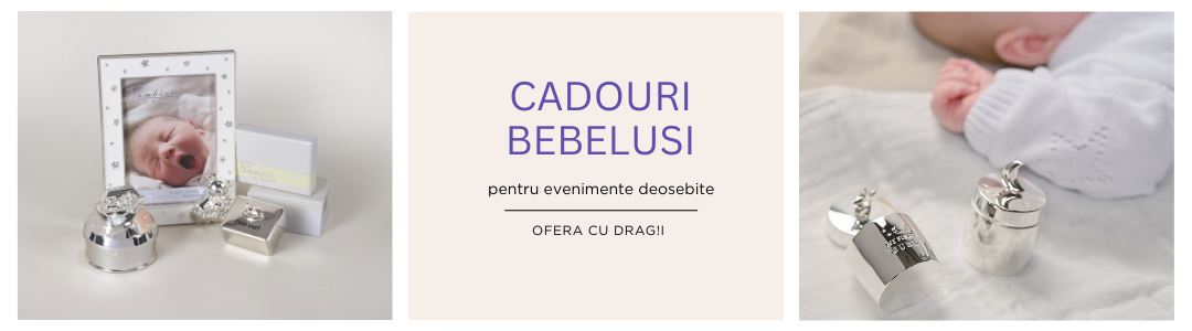 Categorie cadouri bebelusi