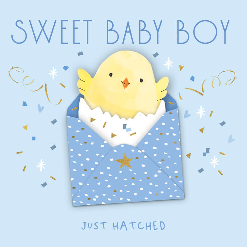 Felicitare bebelusi Sweet Baby Boy model pui [1]