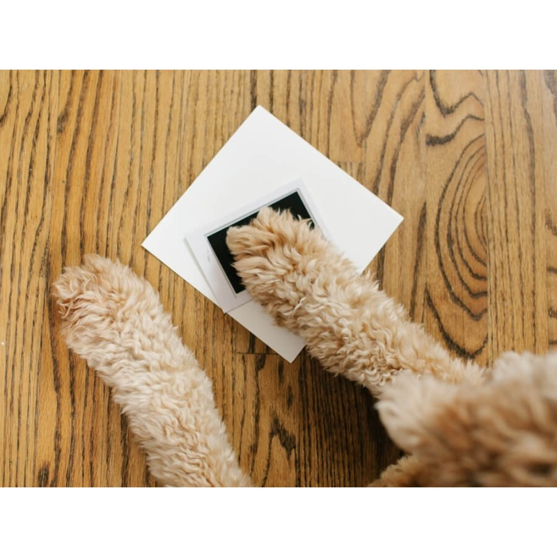 Kit rama foto amprente cerneala - Best Friends Forever - Pearhead [4]