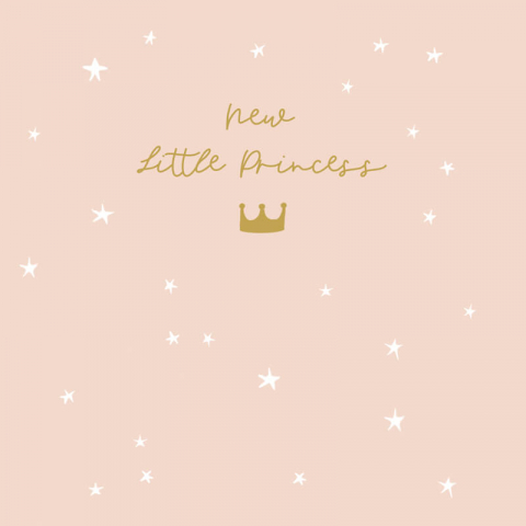 Felicitari si pungi cadou - Felicitare bebelusi New Little Princess